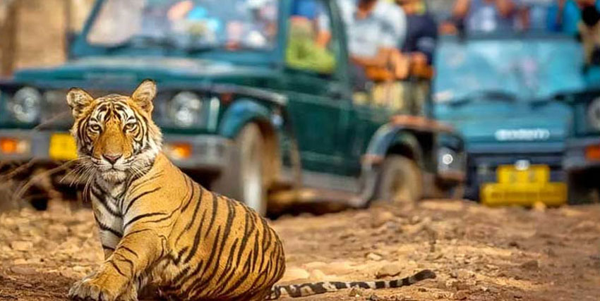 3 Days Golden Triangle Tour